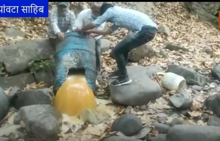 खारा के जंगलों में बही शराब की नदी , वन विभाग ने नष्ट की कच्ची शराब, आरोपी फरार
