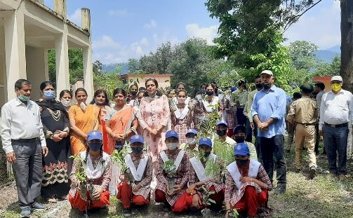 एक पेड़ मेरे स्कूल के नाम से हरा भरा होगा सिरमौर, 250 इको क्लब कर रहे पौधारोपण