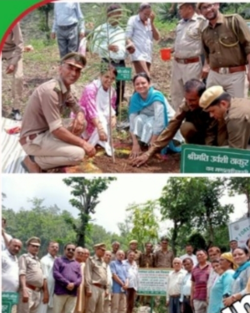 वन विभाग सिरमौर लगाएगा सात लाख पौधे , सतौन से शुरू हुआ पौधारोपण अभियान