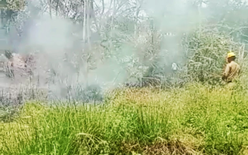 ब्लूस्टार फैक्ट्री के पास झाड़ियों में अचानक लगी आग, दमकल ने काबू पाया।
