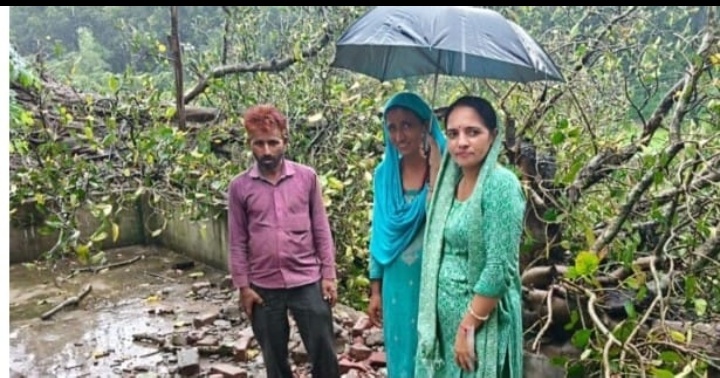 गरीब परिवार पर टूटा कहर, देर रात रसोई पर गिरा विशाल बरगद का पेड़