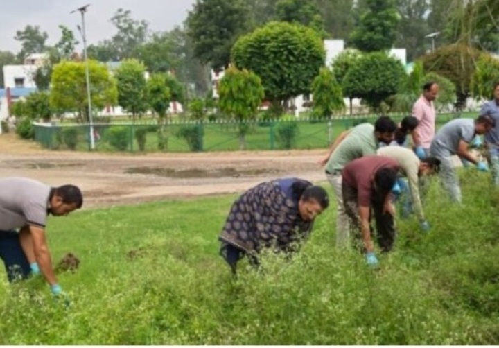 धौलाकुआं में वैज्ञानिकों ने गाजर घास उखाड़ कर किसानों को बताए नियंत्रण के तरीके